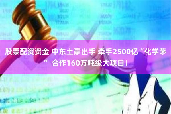 股票配资资金 中东土豪出手 牵手2500亿“化学茅” 合作160万吨级大项目！