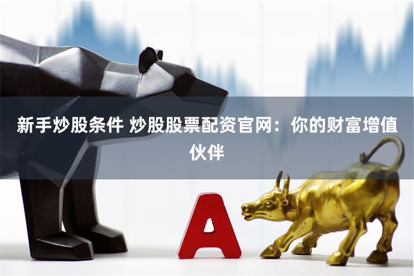 新手炒股条件 炒股股票配资官网：你的财富增值伙伴