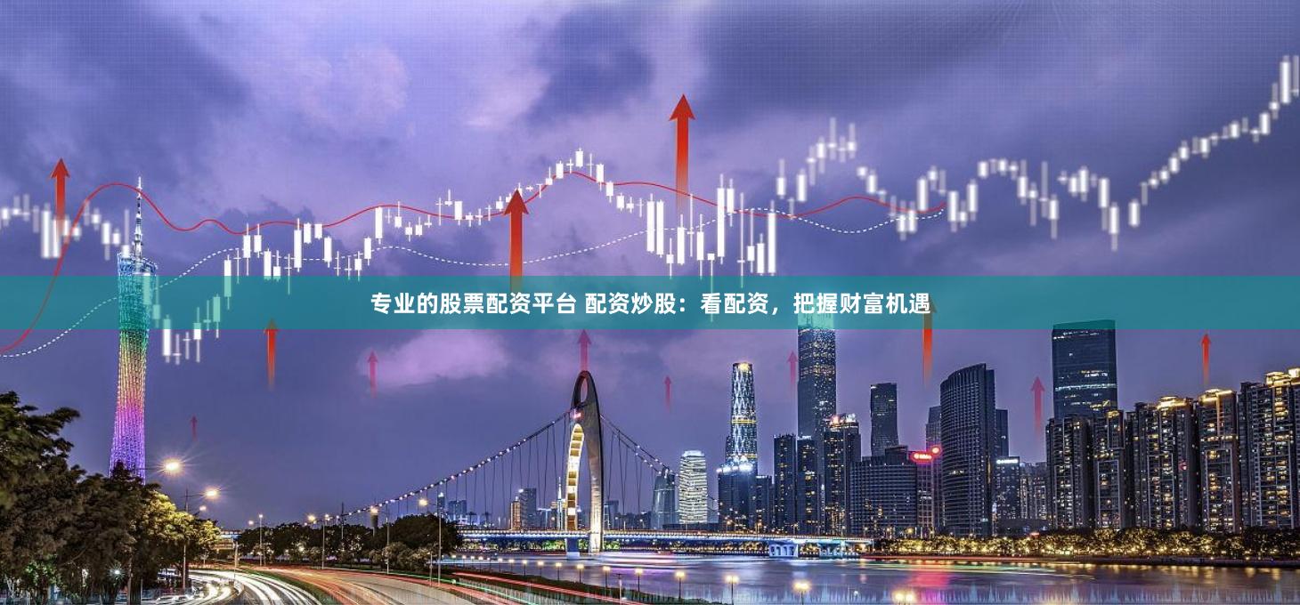 专业的股票配资平台 配资炒股：看配资，把握财富机遇