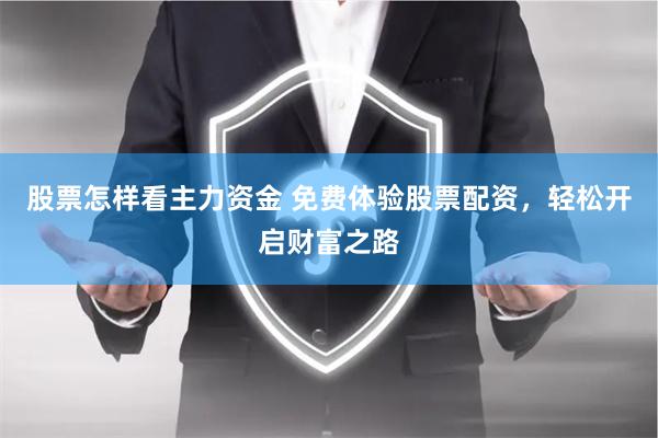 股票怎样看主力资金 免费体验股票配资，轻松开启财富之路