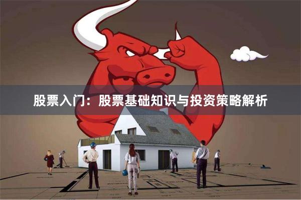 股票入门：股票基础知识与投资策略解析
